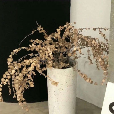 穆棱福瑞交流群